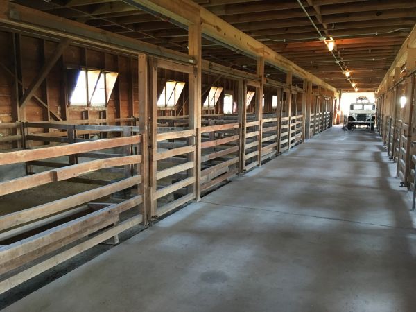 Barn Floor Pouring in Las Vegas