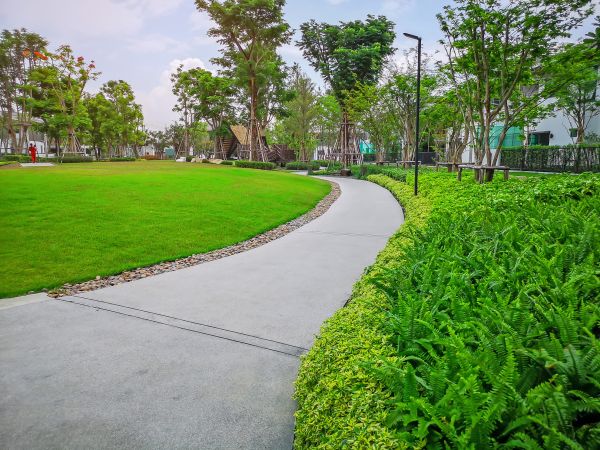 Cement Walkway Service in Las Vegas