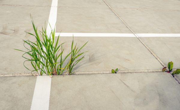 Cost of Concrete Parking Installation in Las Vegas