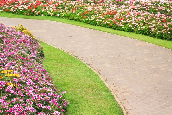 Cost of Concrete Walkway Service in Las Vegas